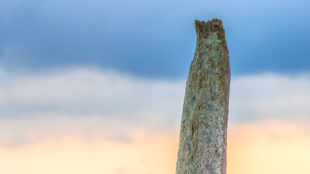 The setting sun provides an interesting backdrop.(copyright Glenn Nelson)