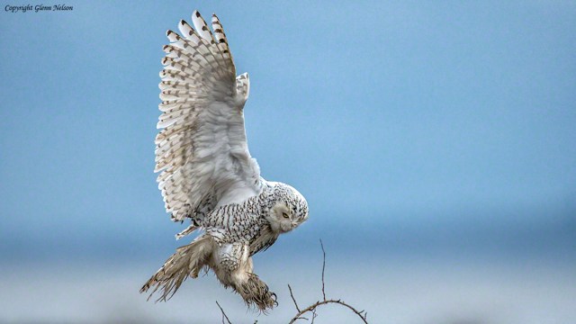 Refuge is found and, let me tell you, it wasn't too far away.