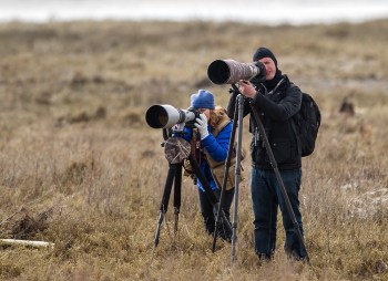 Properly geared bird photographers at Boundary Bay, B.C.