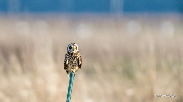 How can you not look at this and hear Roger Daltrey beling out, "Who-ooo are you? Hoo, hoo, hoo, hoo."