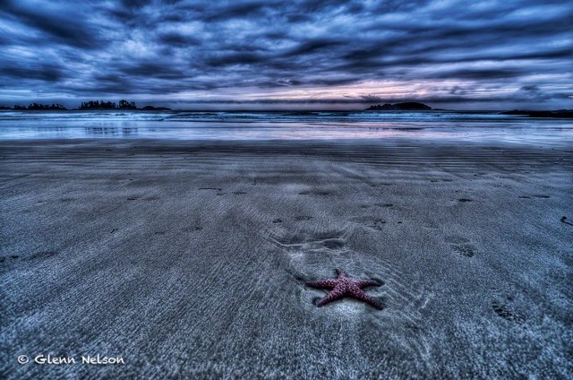 The sun and the tide is gone, leaving this sea star behind on Chesterman Beach.