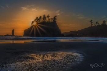 What everyone else got.